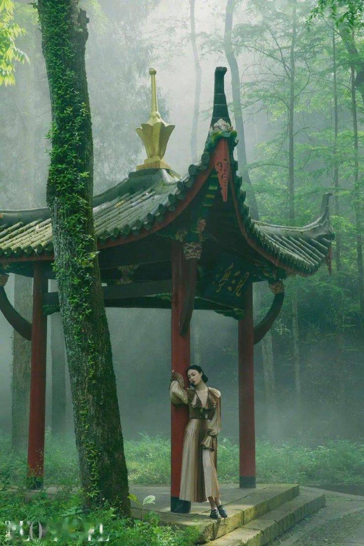 组装机械盔头龙2