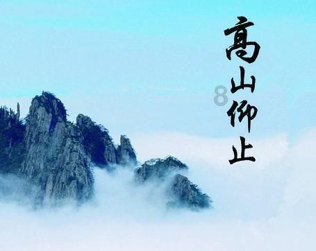 拯救蝙蝠家族