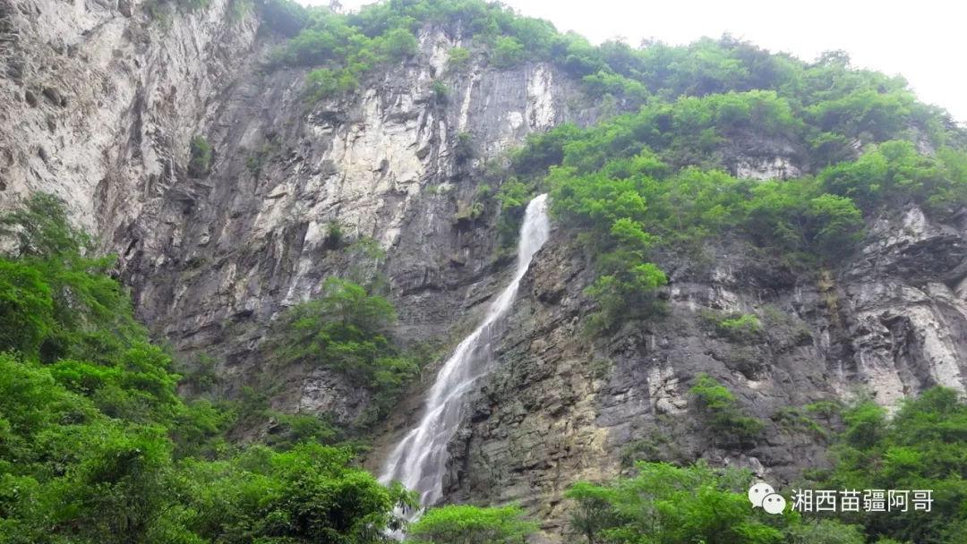 生化危机：浣熊市行动